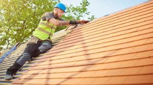 Best Roof Moss and Algae Removal  in Mount Vernon, WA