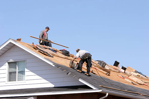 Roof Coating Services in Mount Vernon, WA